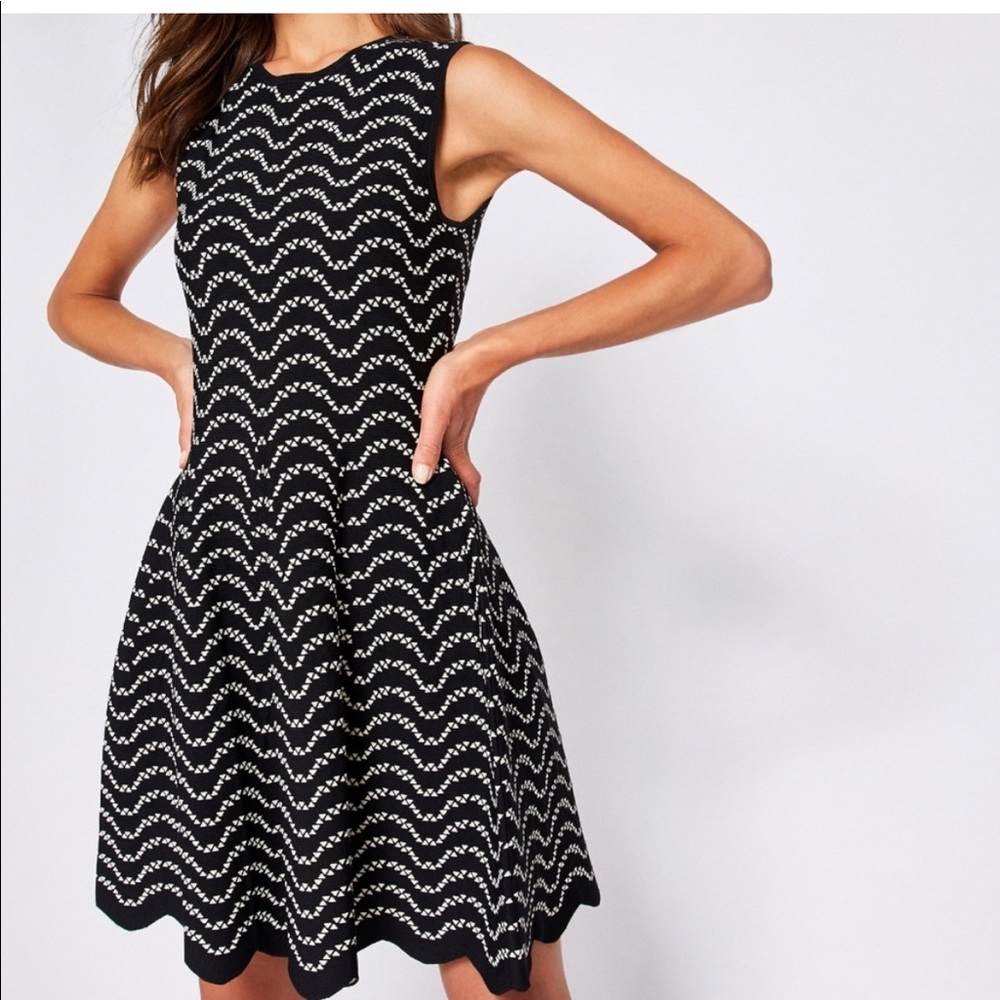 Ted Baker Black & White Jacquard Skater Dress